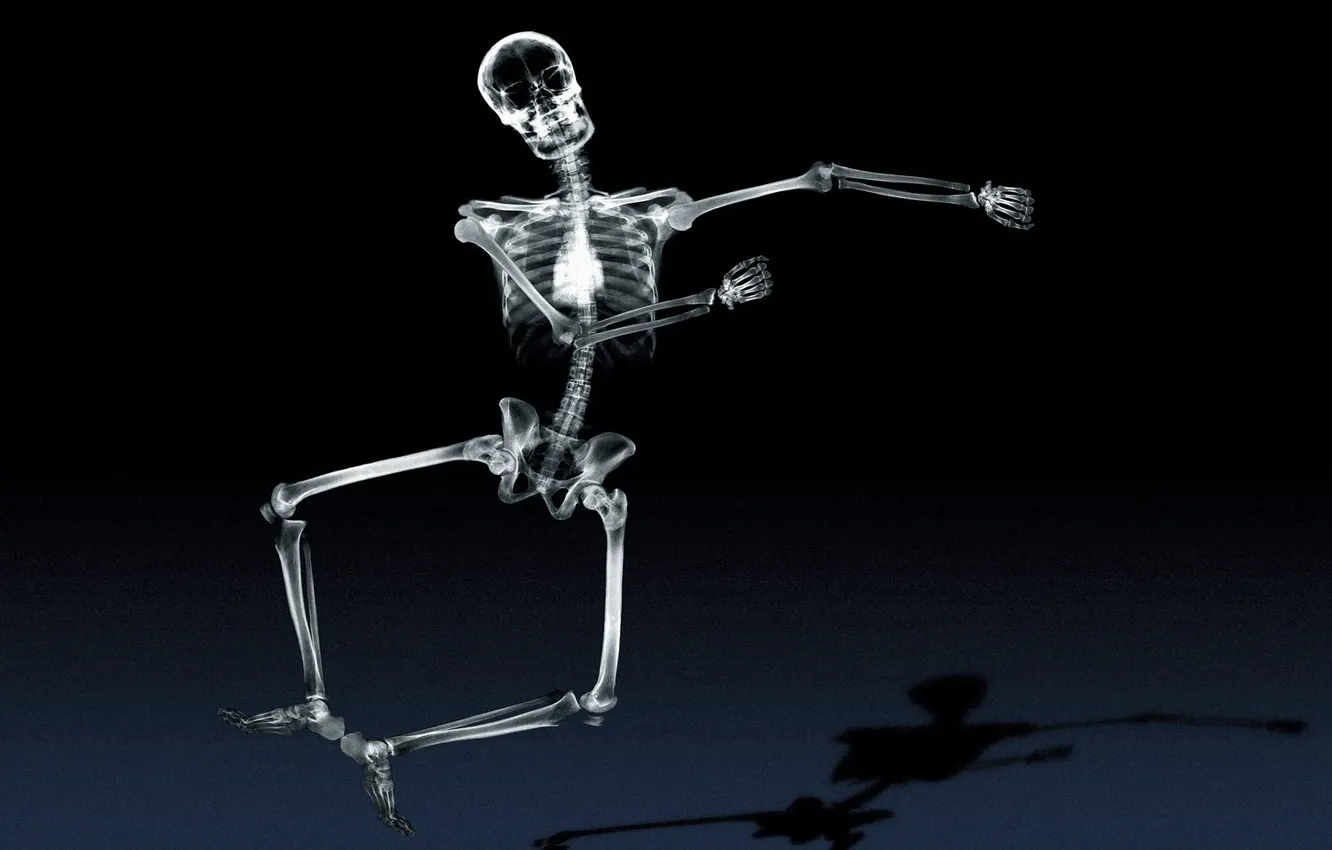Фото обои тень, кости, скелет, Рентген, танцует