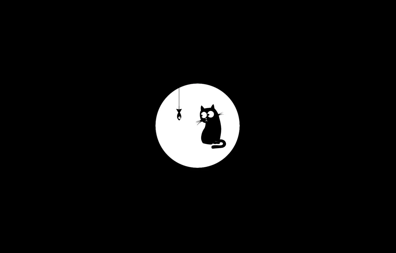 Фото обои кот, черно-белый, рыба, черный кот