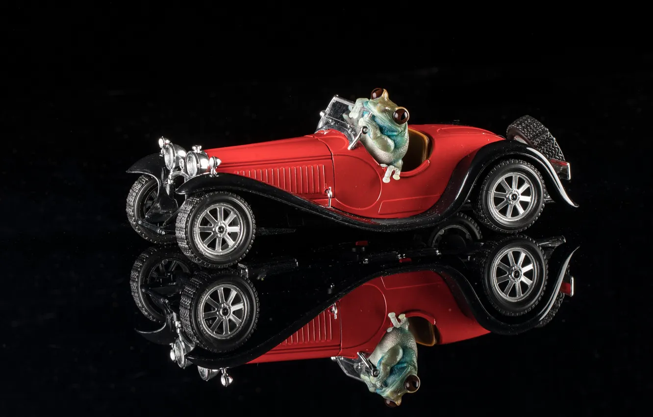 Фото обои отражение, лягушка, машинка, чёрный фон, моделька, 1932 Bugatti
