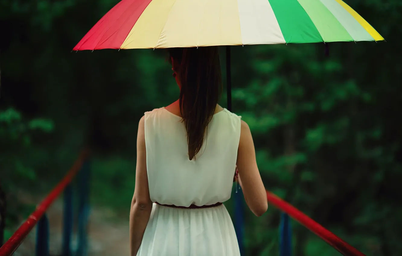 Фото обои девушка, мост, зонтик, фон, дождь, обои, настроения, размытие