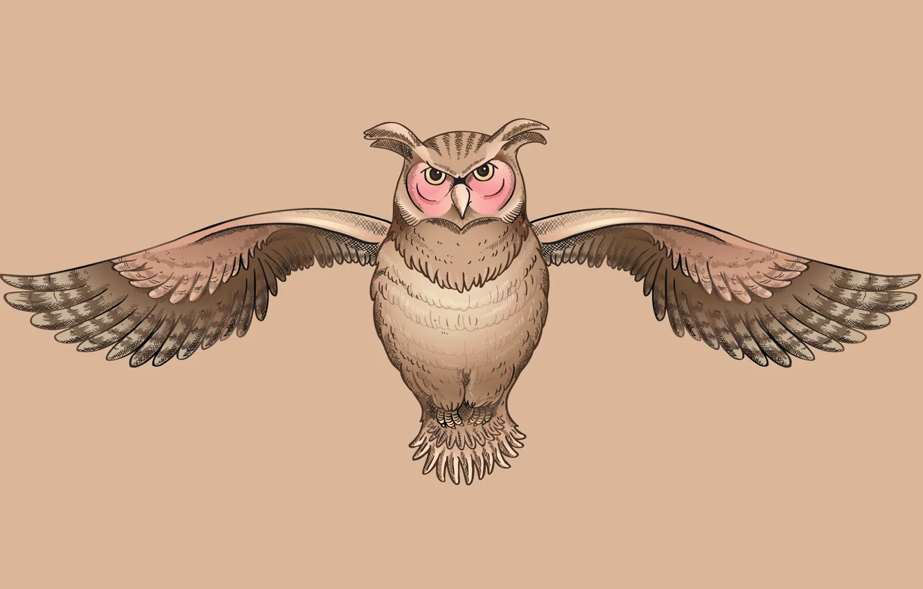 Фото обои сова, птица, owl, мудрая, крылатая