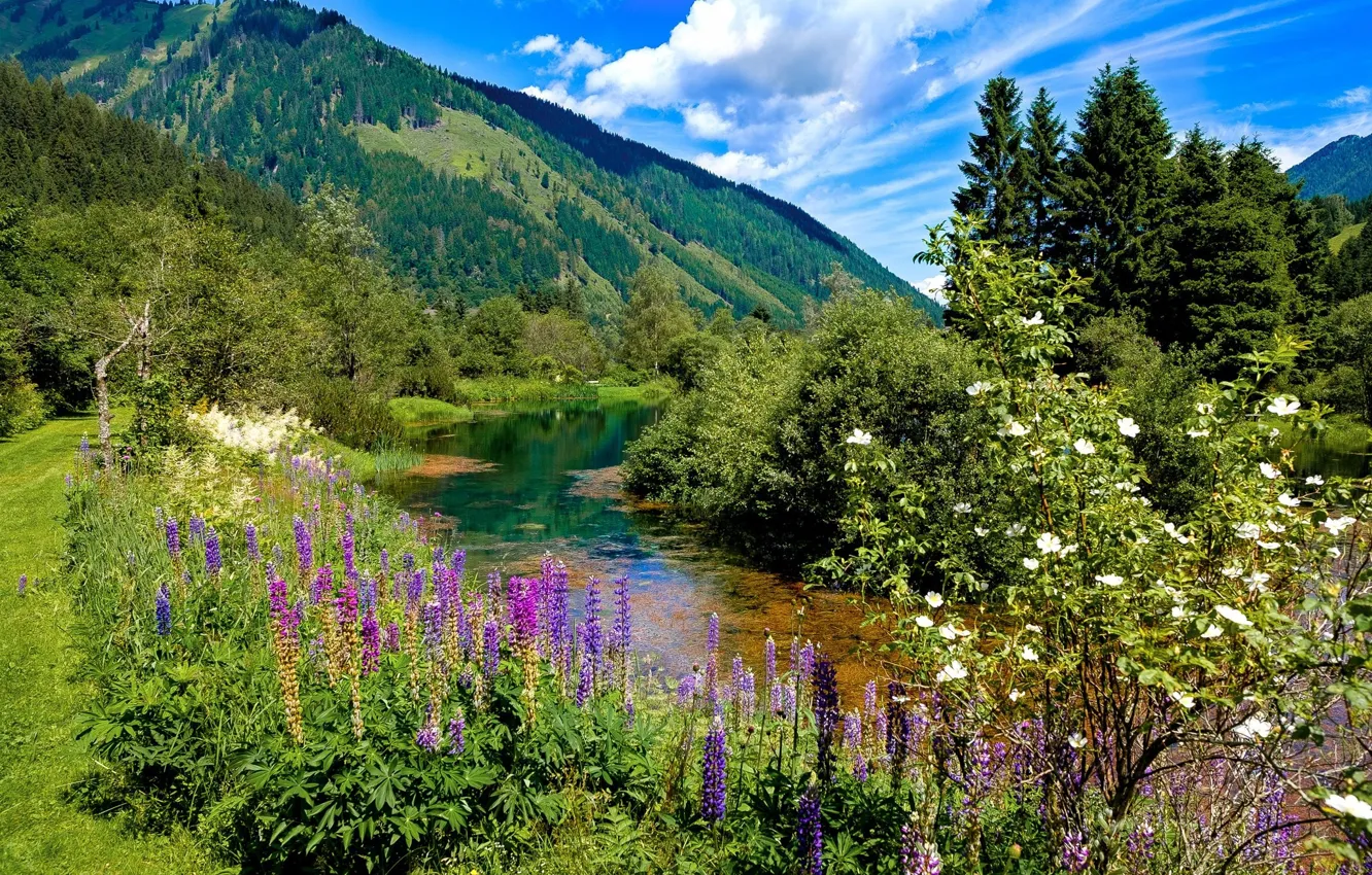 Фото обои пейзаж, цветы, горы, природа, красота, луг, простор, панорама