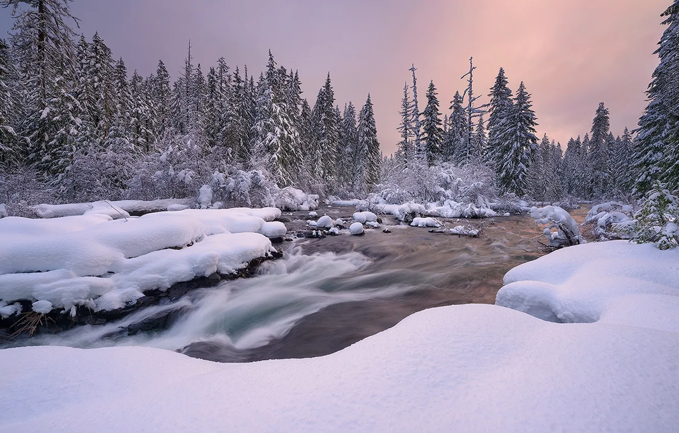 Фото обои зима, снег, пейзаж, закат, природа, река, ели