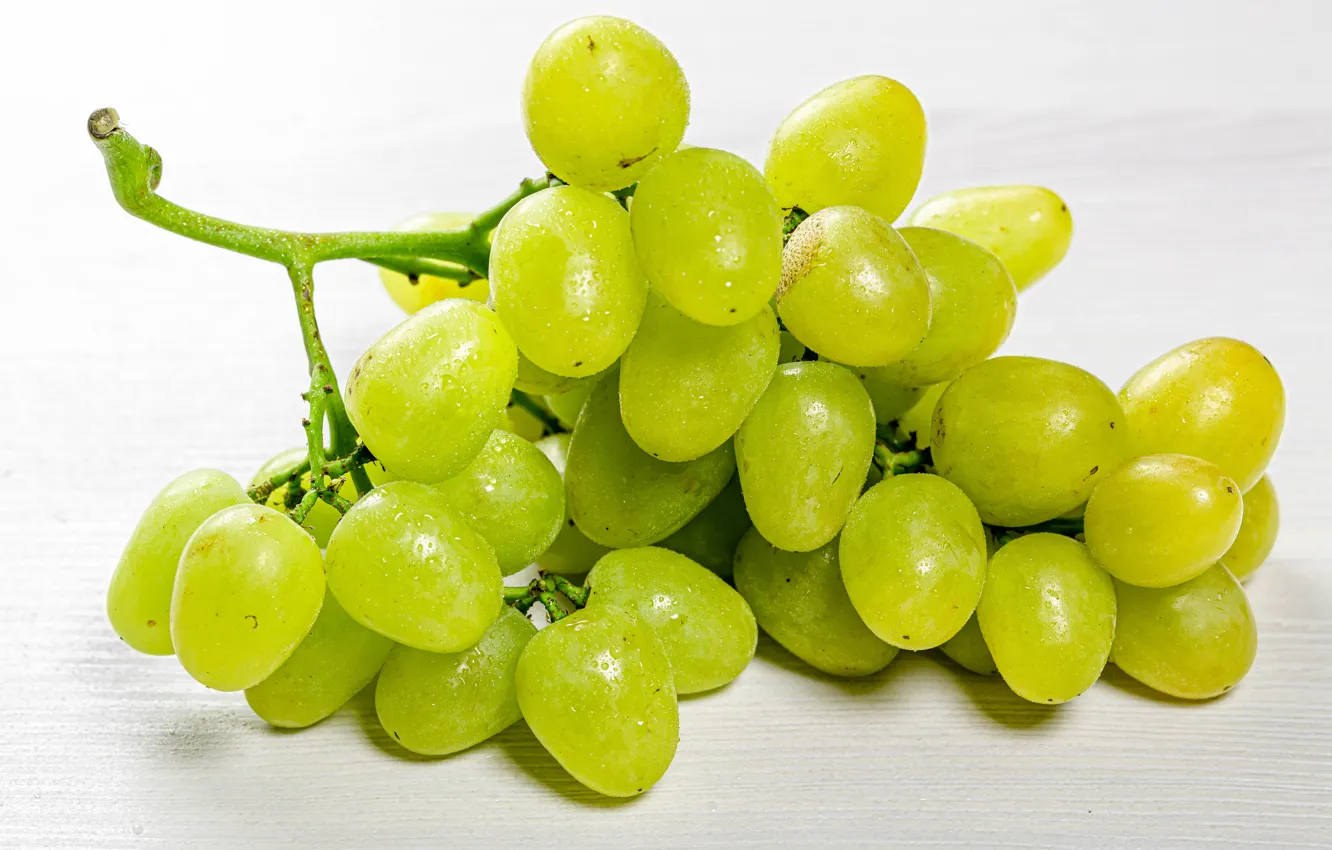 Фото обои крупный план, виноград, гроздь