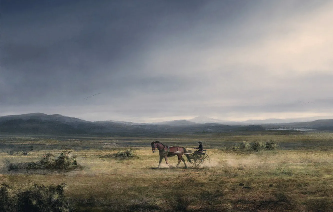 Фото обои рисунок, Лошадь, равнина, повозка