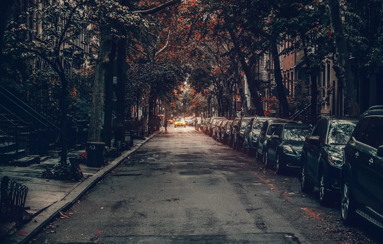 Фото обои United States, cars, New York, Manhattan, autumn, street, people, houses