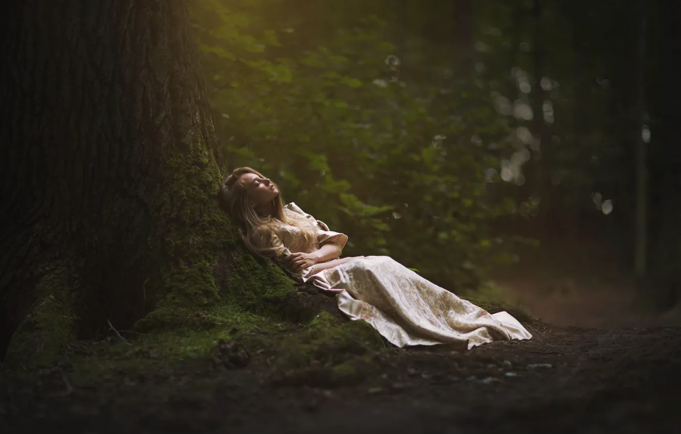Фото обои лес, девушка, дерево, отдых, платье, Marketa Novak, In forest