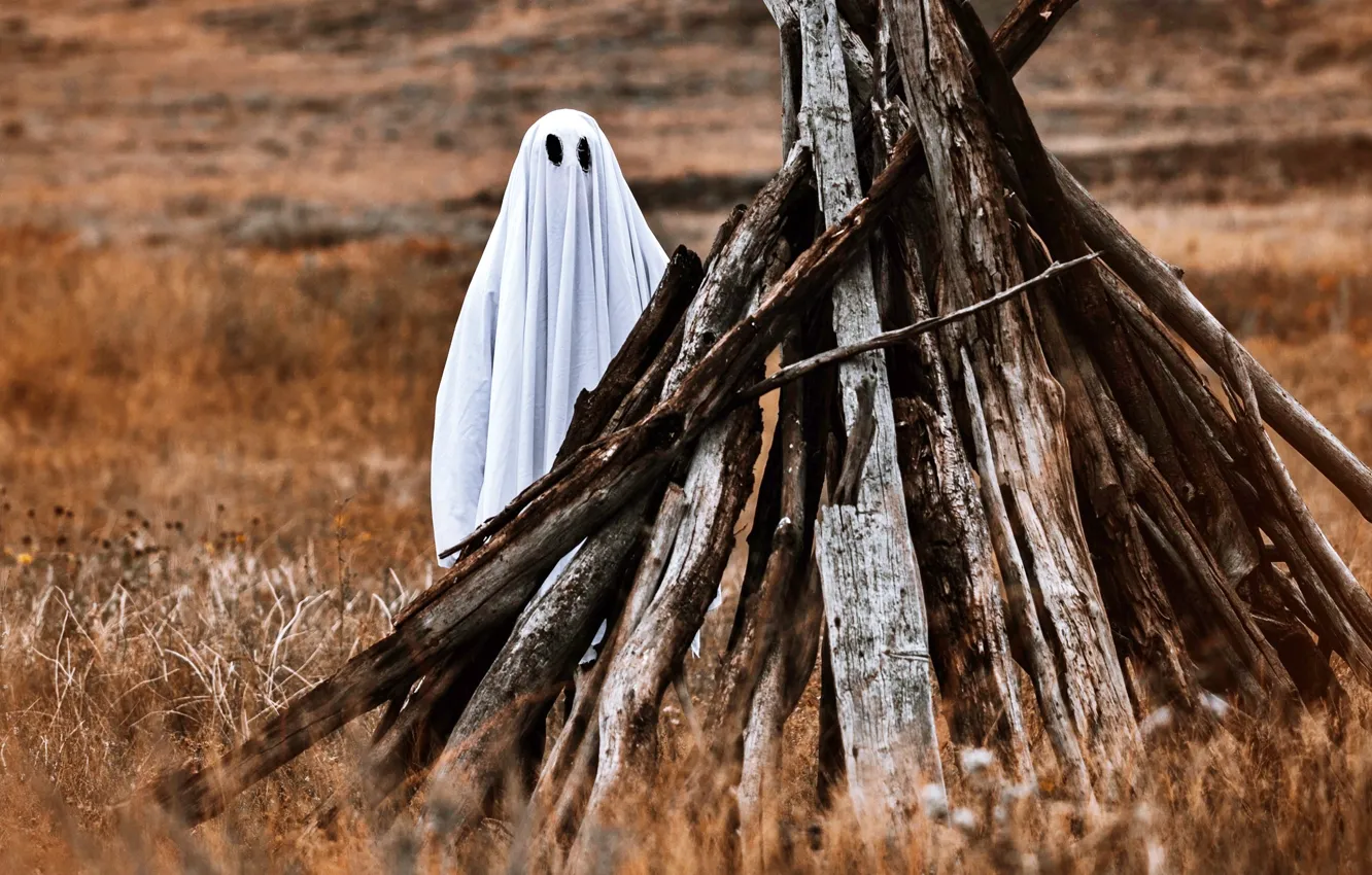 Фото обои обои, призрак, дрова, wallpaper, простыня, ghost, картинка, привидение