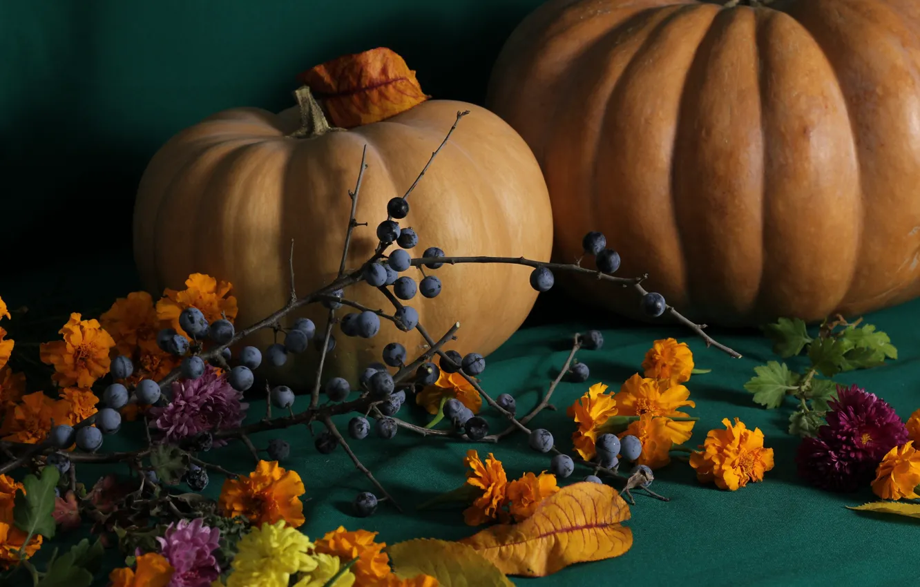 Фото обои осень, цветы, ветка, урожай, плоды, виноград, тыквы, натюрморт
