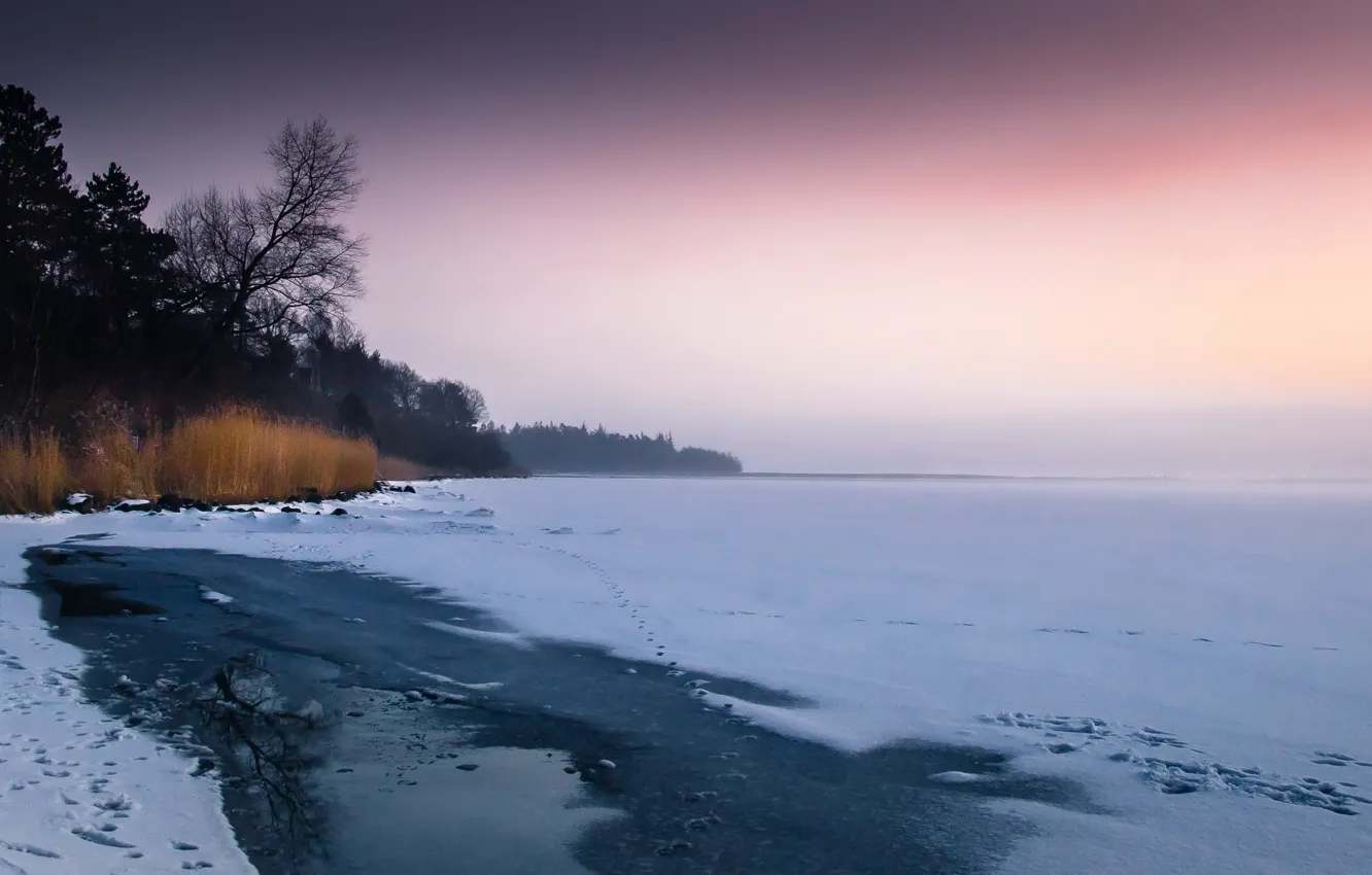 Фото обои зима, озеро, берег