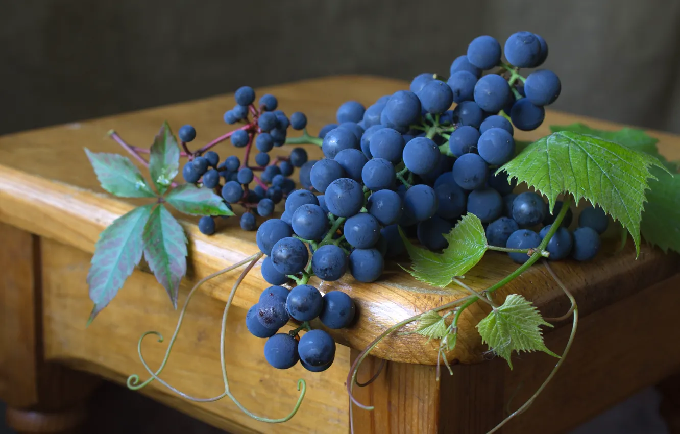 Фото обои синий, ягоды, виноград