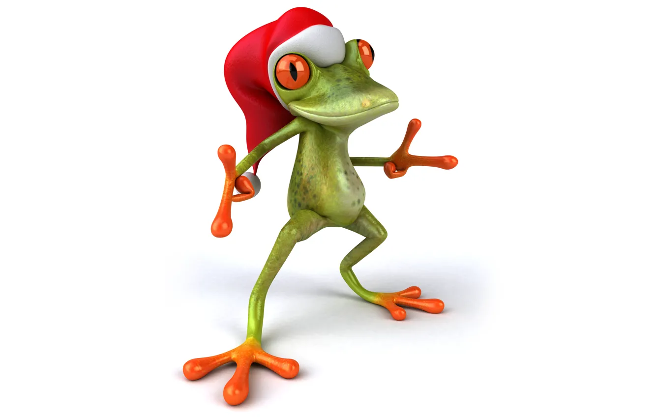 Фото обои лягушка, christmas, frog, funny, santa hat