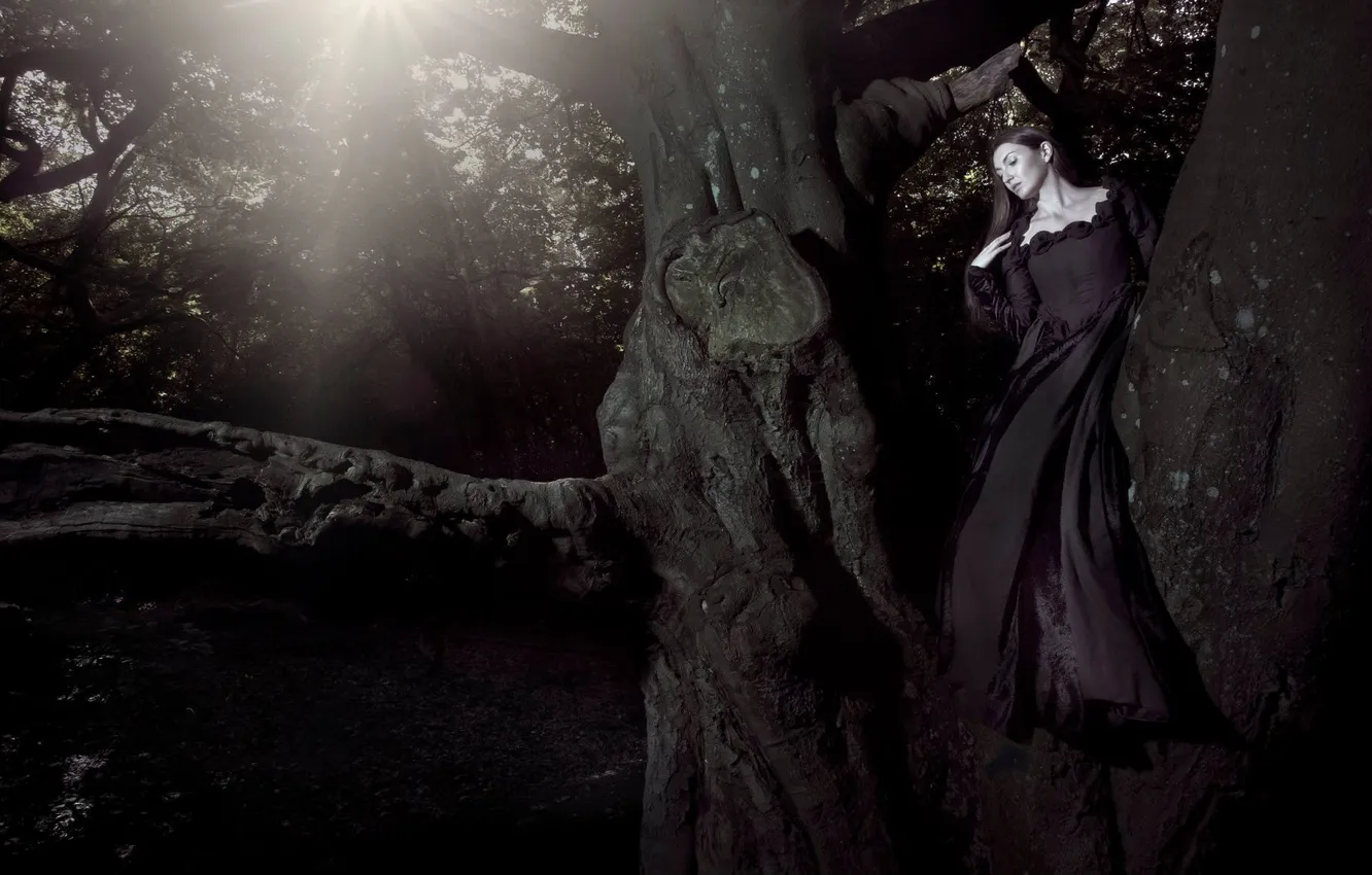 Фото обои Tree, Wallpaper, Woman, Black Dress, Sun &ampamp; Shade