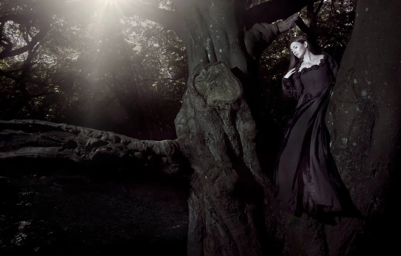 Фото обои Tree, Wallpaper, Woman, Black Dress, Sun &amp; Shade