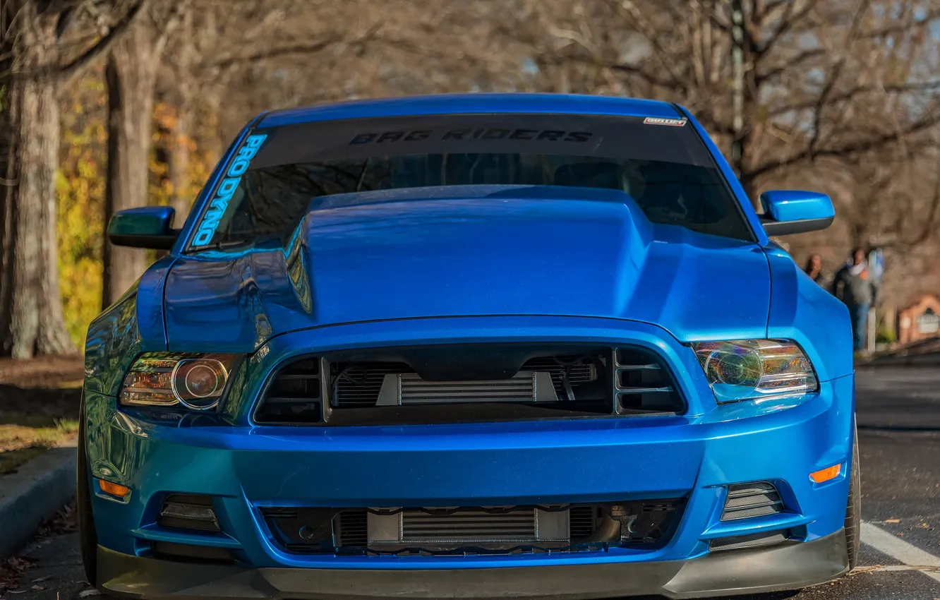 Фото обои Mustang, Ford, автомобиль, передок