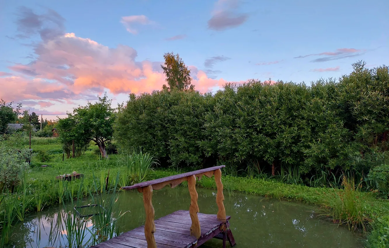 Фото обои небо, пейзаж, природа, пруд, деревня, Новгородская область