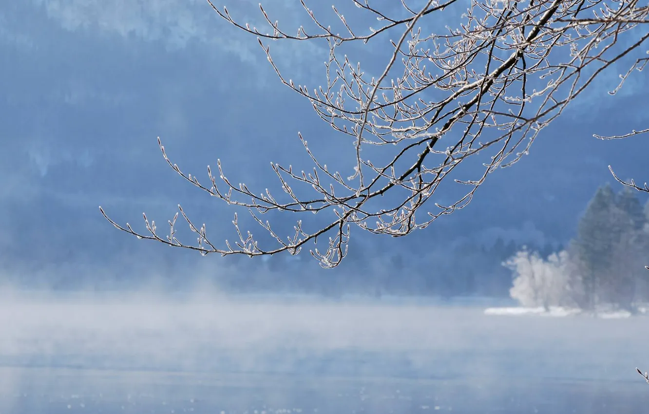 Фото обои зима, вода, снег, река, ветка, water, winter, snow