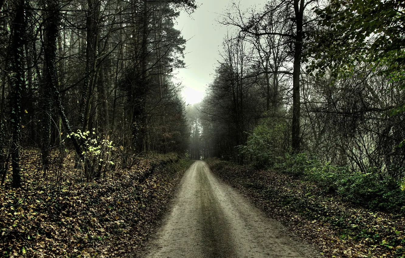 Фото обои дорога, грусть, осень, 154