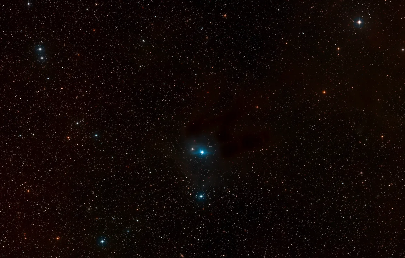 Фото обои Star, Stars, Dust, Digitized Sky Survey 2, DSS 2, Wide-field view, Constellation of Auriga, Variable …