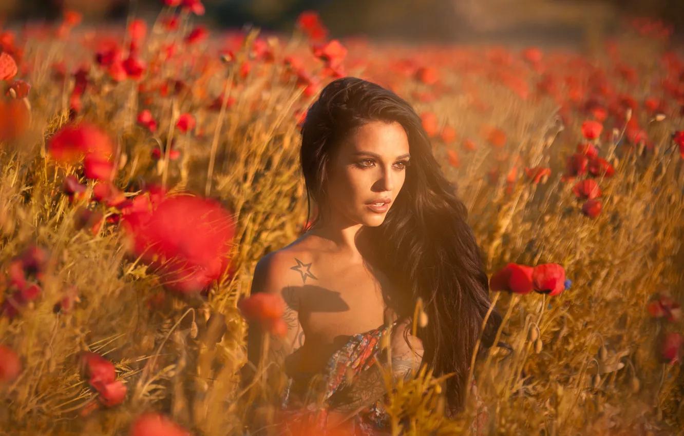 Фото обои поле, взгляд, девушка, цветы, природа, маки, брюнетка, татуировка
