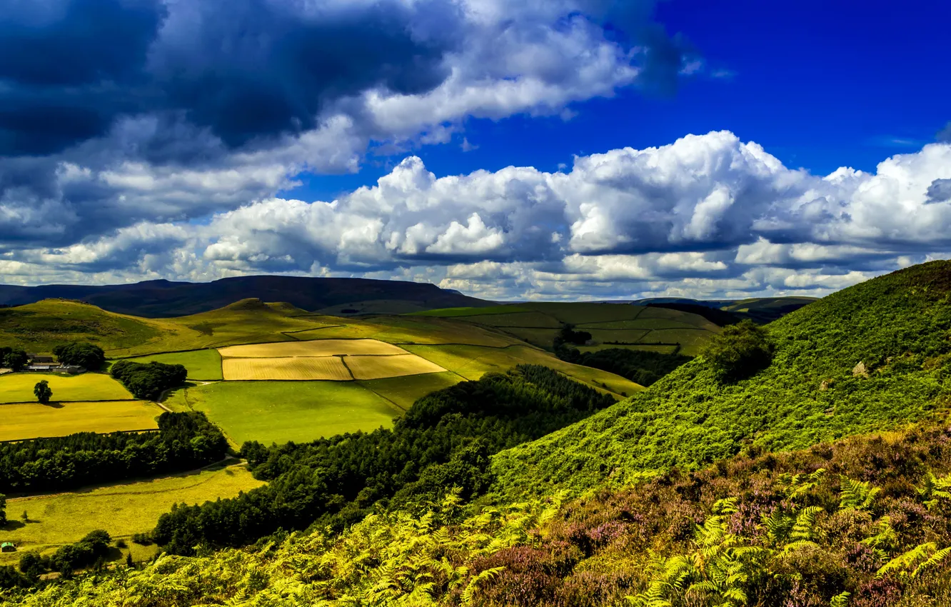 Фото обои зелень, трава, облака, деревья, поля, Великобритания, Ladybower