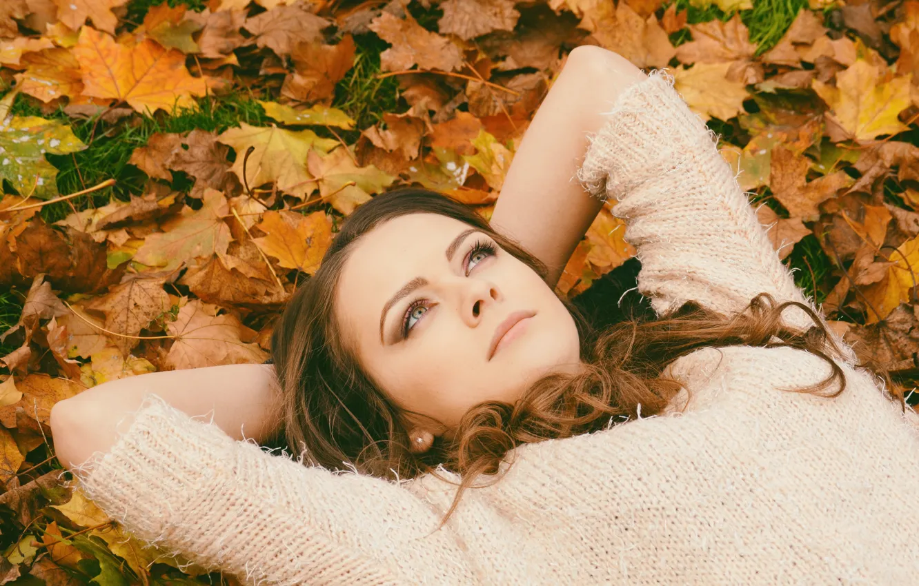 Фото обои осень, взгляд, листья, девушка, настроение, руки
