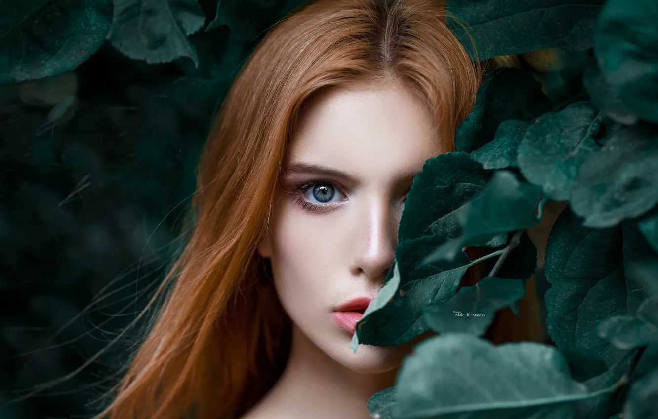Фото обои взгляд, листья, девушка, лицо, глаз, волосы, портрет, Максим Романов