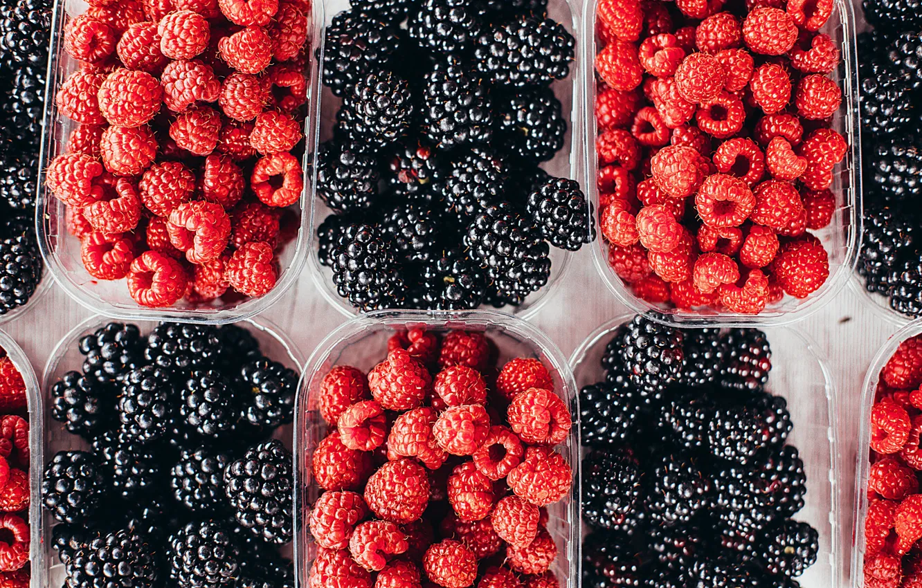 Фото обои ягоды, малина, много, ежевика, контейнеры