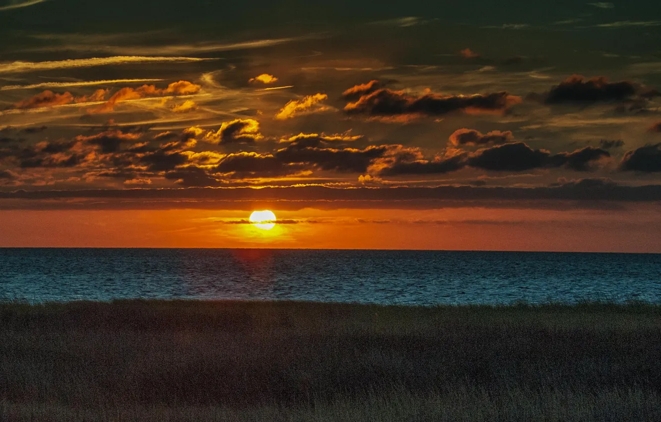 Фото обои море, небо, трава, солнце, облака, закат, берег, горизонт