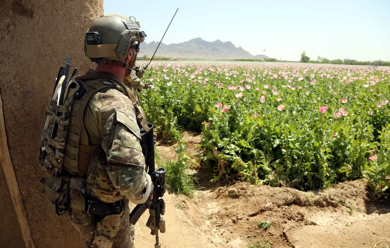 Фото обои оружие, армия, солдат, Афганистан