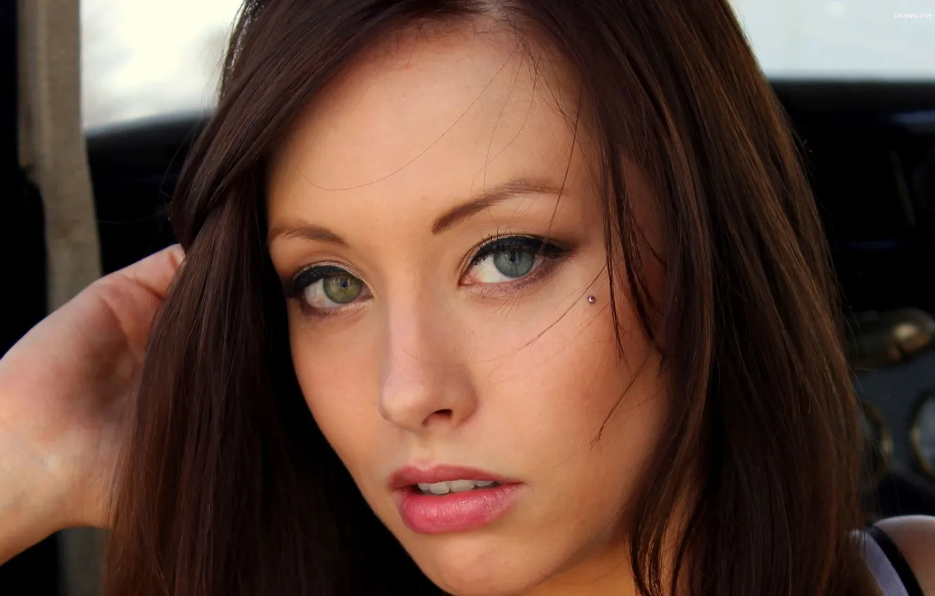 Фото обои взгляд, модель, брюнетка, США, ashley casperson