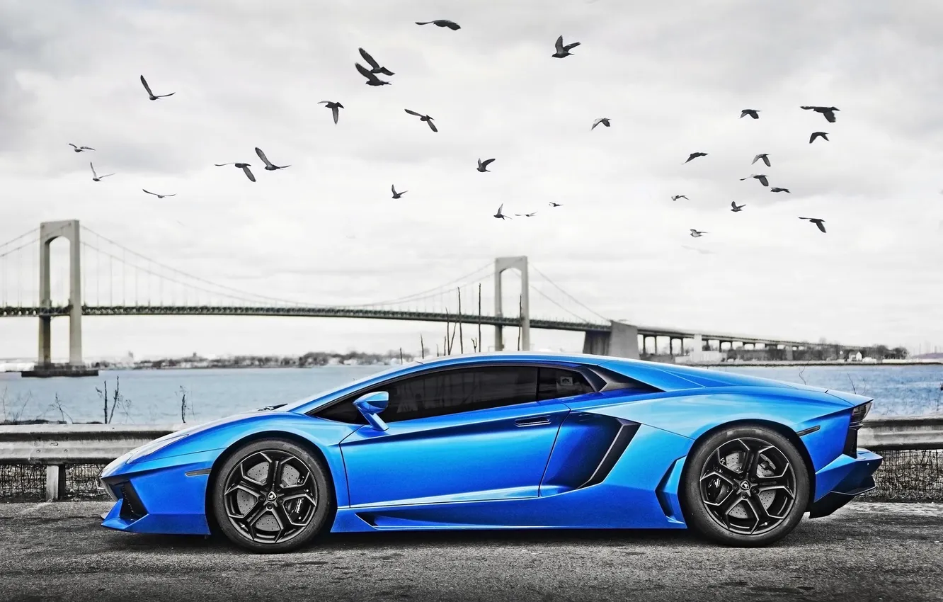 Фото обои Мост, Lamborghini, Blue, Суперкар, LP700-4, Aventador, Supercar