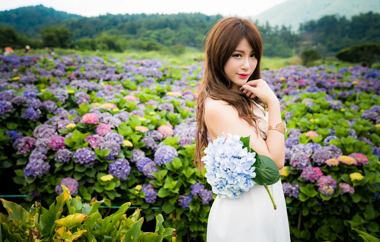Фото обои взгляд, девушка, цветы, волосы, шатенка, азиатка