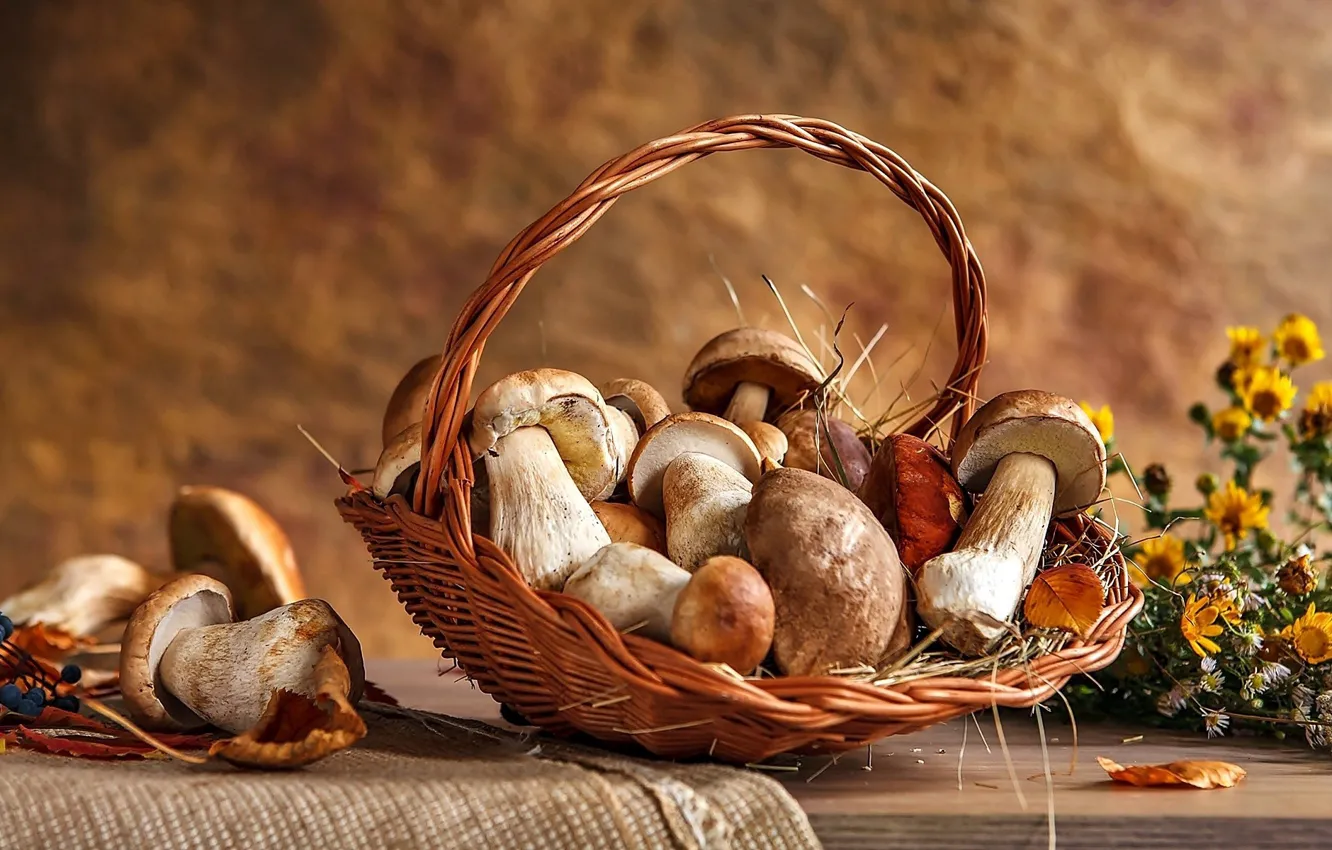 Фото обои корзина, грибы, корзинка, Натюрморт
