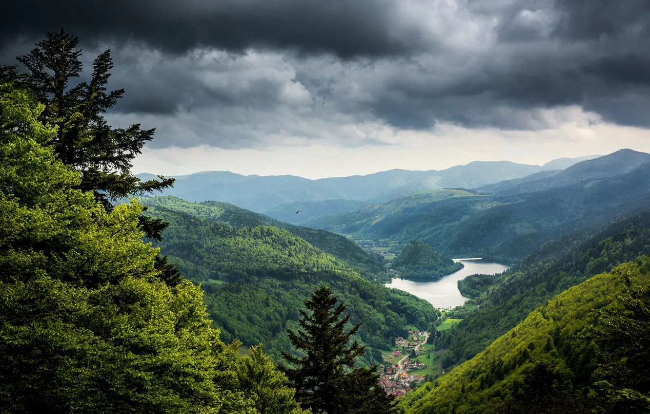 Фото обои лес, горы, водоём, поселение, Landscapes