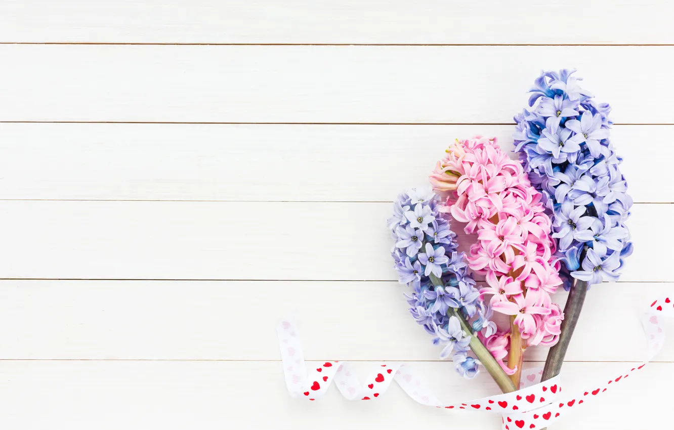 Фото обои цветы, букет, розовые, blue, pink, flowers, гиацинты, hyacinths