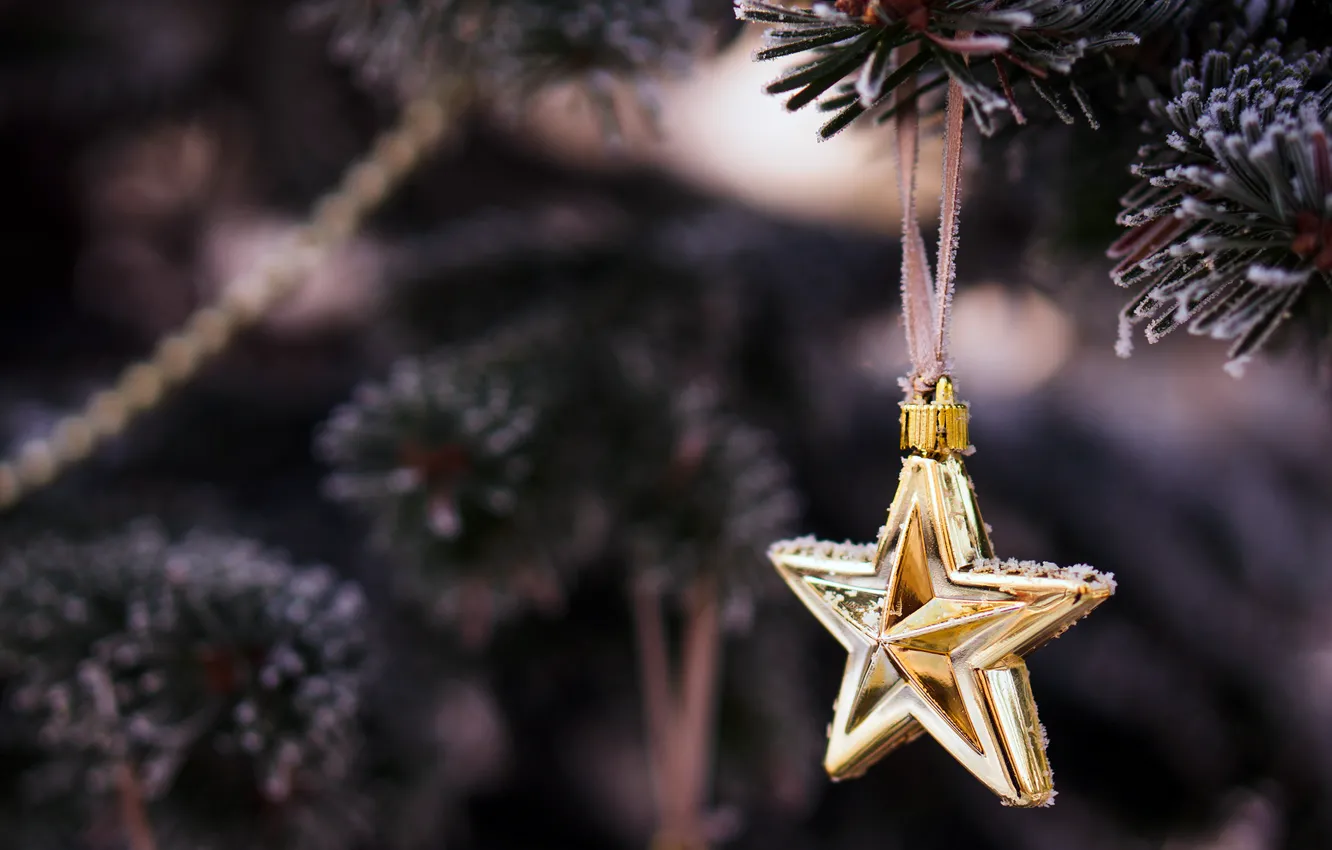 Фото обои зима, ветки, дерево, игрушка, звезда, елка, ель, Новый Год