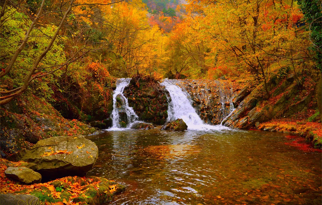 Фото обои Водопад, Осень, Лес, Fall, Autumn, Waterfall, Forest