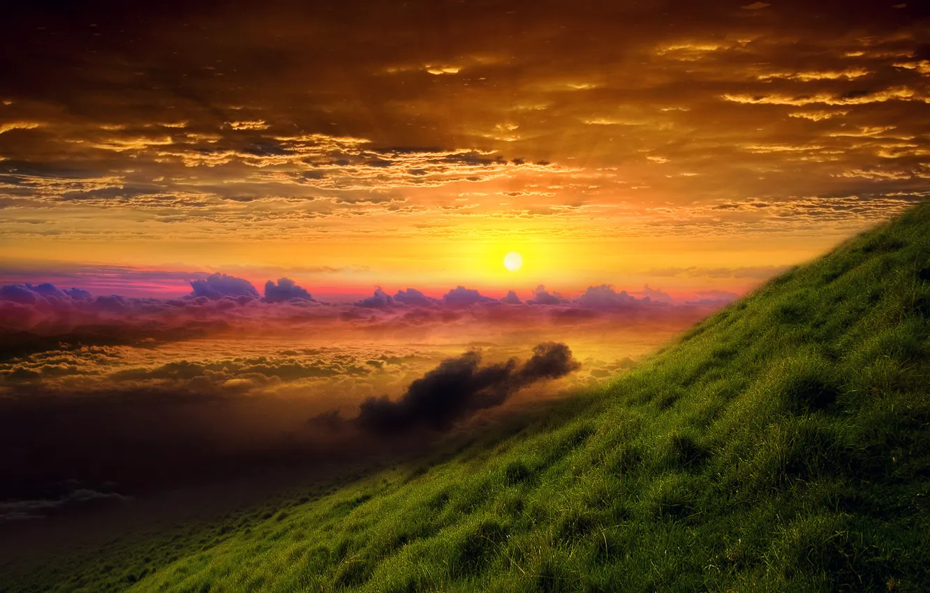 Фото обои трава, солнце, облака, утро, склон