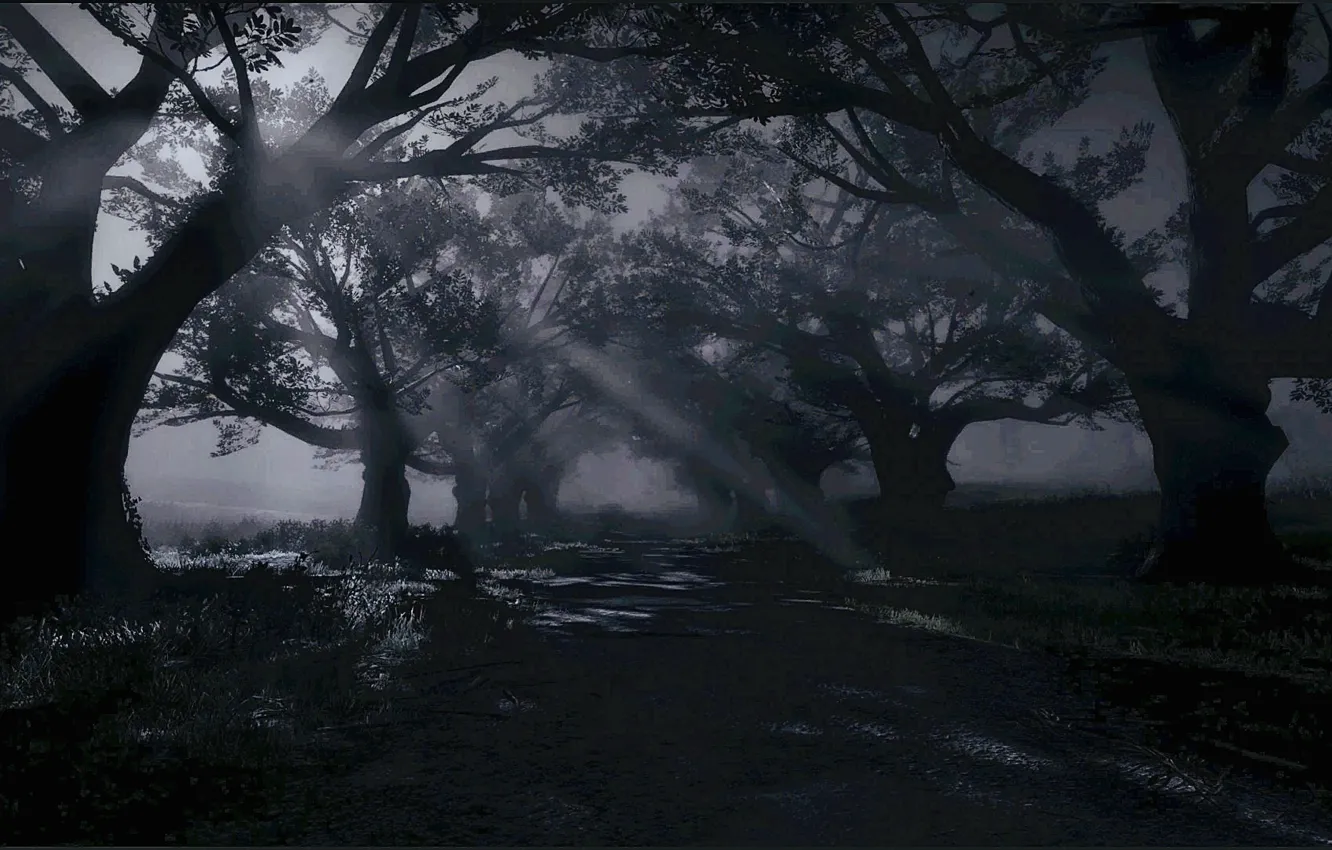 Фото обои HDR, game, trees, night, moonlight, shade, UHD, Red Dead Redemption 2