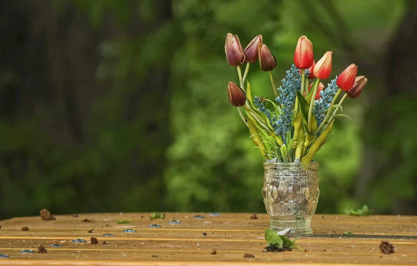 Фото обои цветы, природа, стол, букет, весна, тюльпаны, красные, ваза