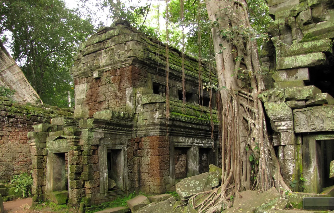 Фото обои Камбоджа, Cambodia, Cambodian jungle, руины замка, каменные изваяния
