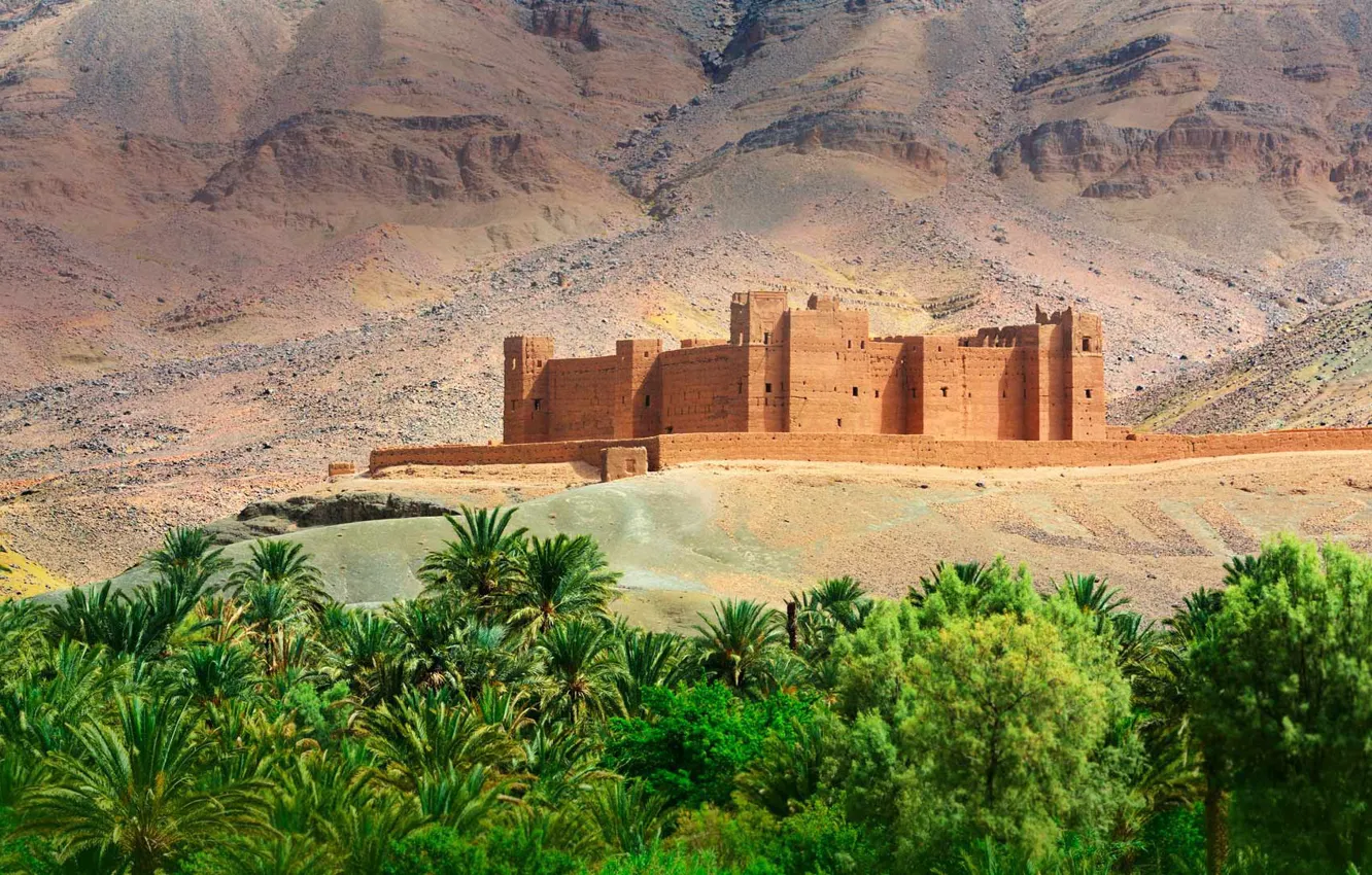 Фото обои горы, пальмы, крепость, Марокко, Kasbah Timidarte