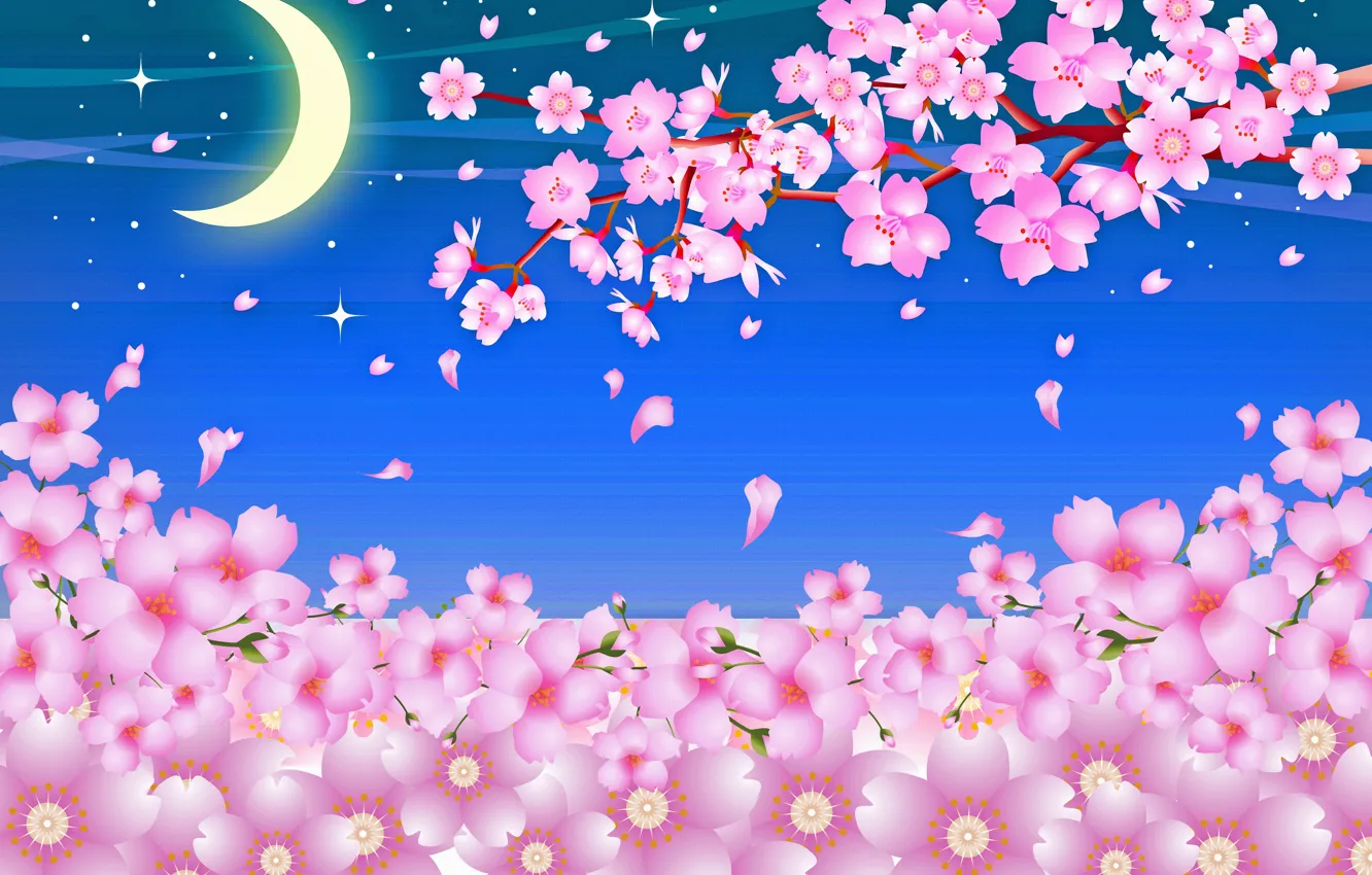 Фото обои небо, месяц, сакура, цветение