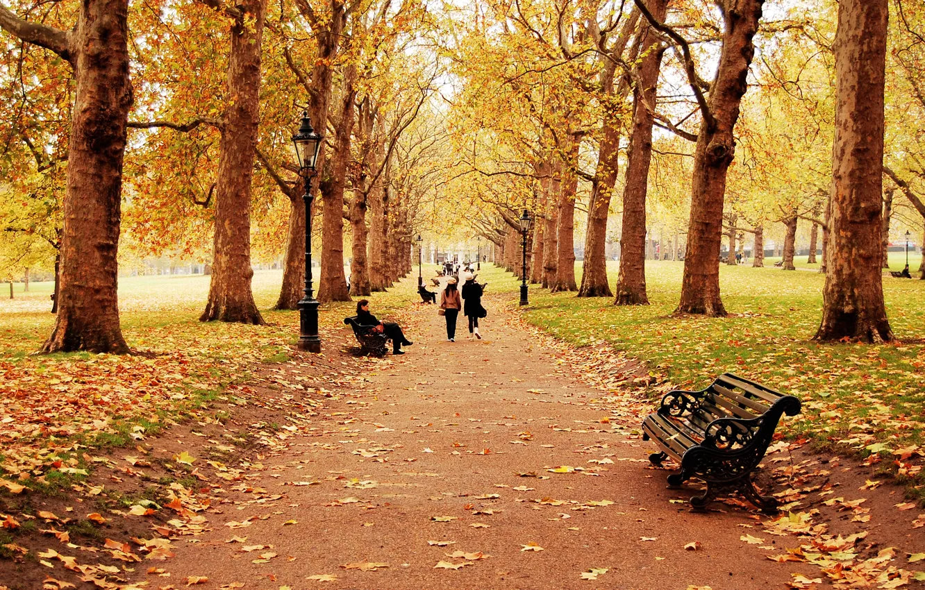 Фото обои осень, листья, деревья, пейзаж, скамейка, природа, дети, люди
