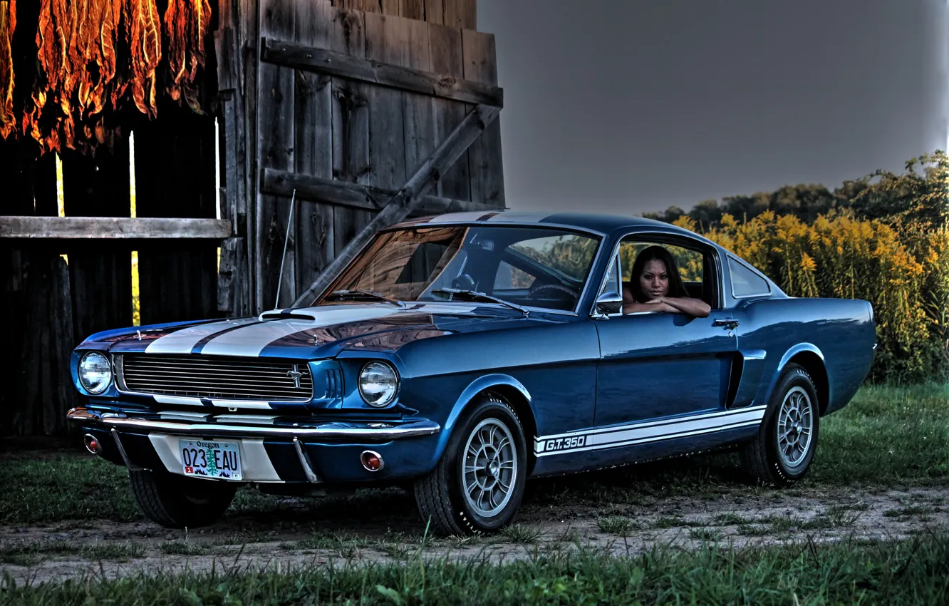 Фото обои Shelby, Ford Mustang, мускул кар, 1966, Muscle car, GT350