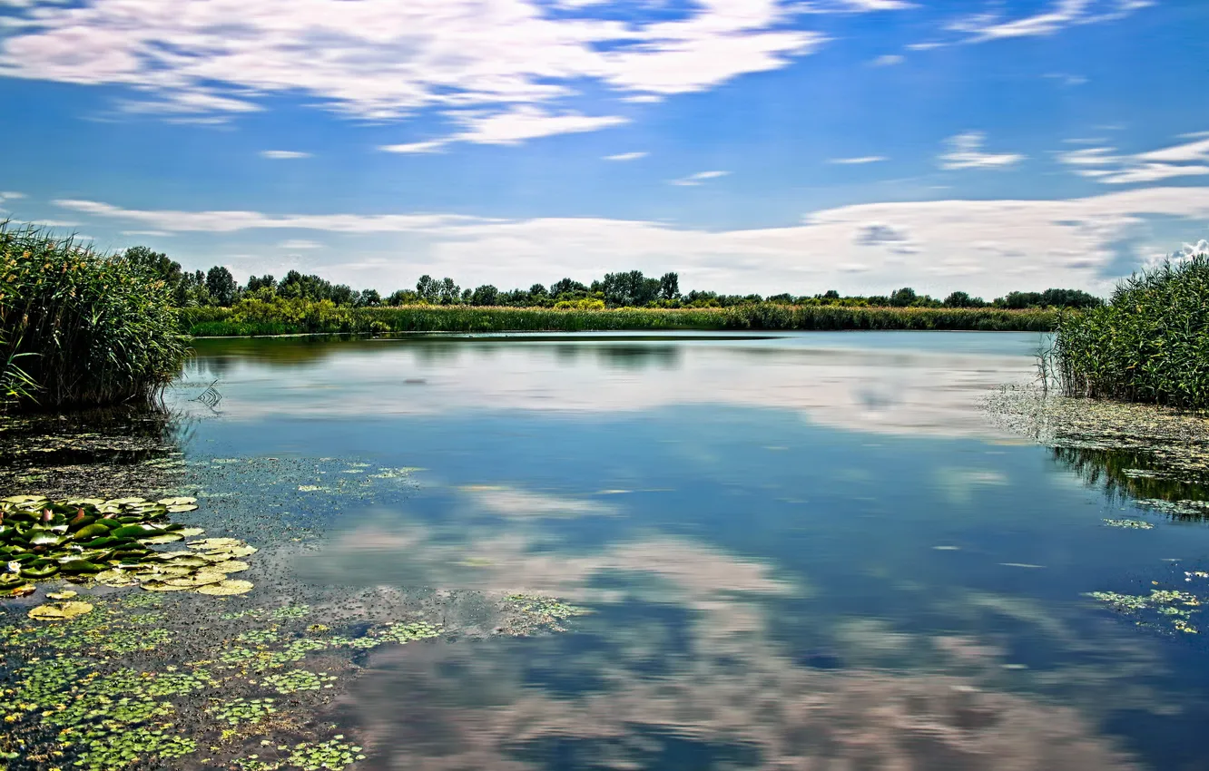 Фото обои пейзаж, природа, озеро, Венгрия, Tisza