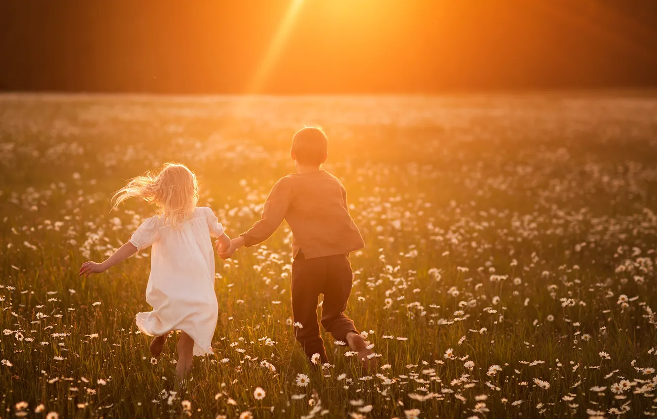 Фото обои поле, солнце, лучи, свет, закат, цветы, дети, детство