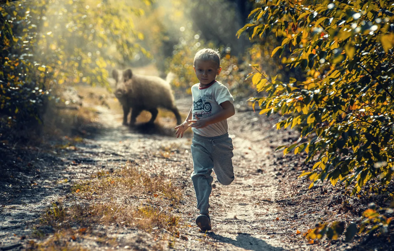 Фото обои мальчик, бег, кабан