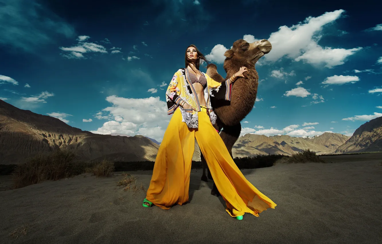 Фото обои девушка, пустыня, модель, верблюд
